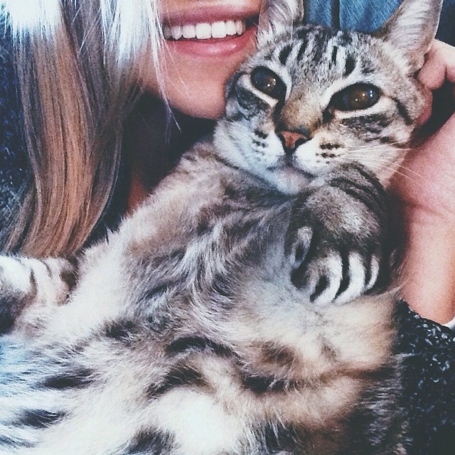  ❤