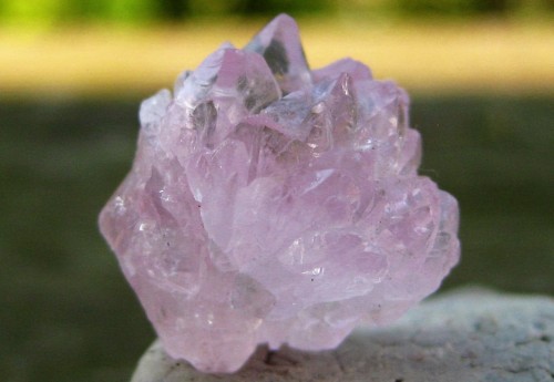 seyelle:  Lovely rose quartz crystals. I wish my camera and I could agree on better quality photos of this one. 