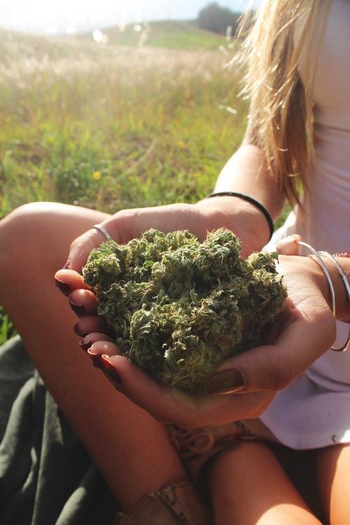 queen of the stoned age
