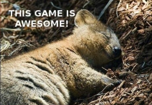 Just Funny Pictures