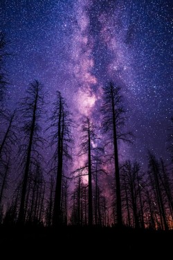 etherealvistas: Reaching for the Sky* (USA) by Wayne Pinkston || Website || Facebook 