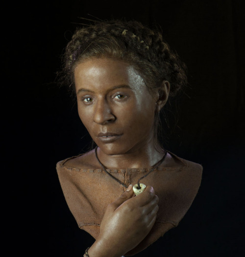 didanawisgi: Whitehawk woman - Forensically accurate 3D facial reconstruction of a Briton who lived 