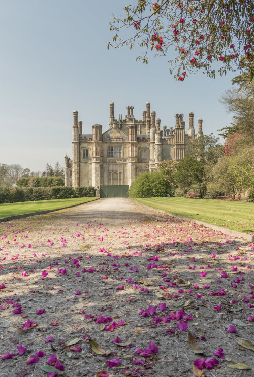 livesunique: Tregothnan, St Michael Penkivel, Cornwall, England, UK, Carolyn Eaton Photography