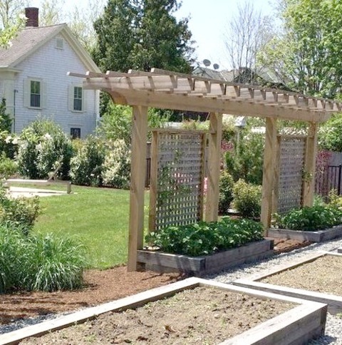 Transitional Landscape - LandscapeDesign Ideas For A Mid-sized Transitional Full Sun Side Yard Gravel