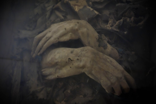 allthesaintsyoushouldknow:  The Carmelite Monastery of San Ángel Mexico City, Mexico  I’m currently working on a full piece for Atlas Obscura on theses guys but I couldn’t wait to share the photos. These are naturally occurring mummies on display