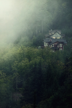 zptp:  Fog houseAtmospherics | website