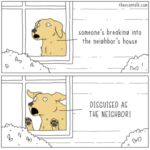 theycantalk: neighbor