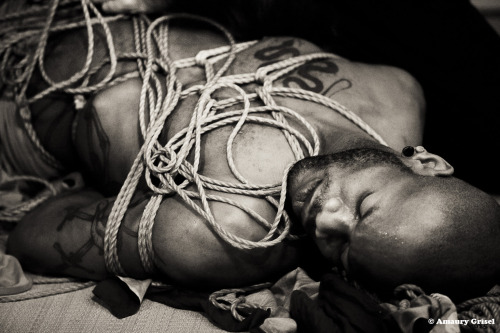 XXX blackcrystalroseshattered:  amaury-grisel-shibari: photo