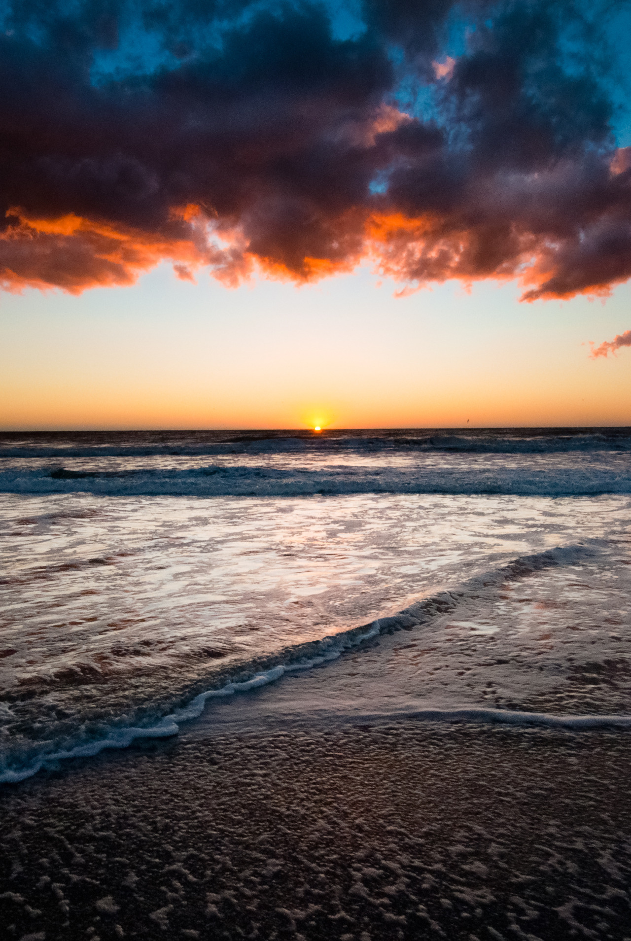 Kingdom Of The Ocean