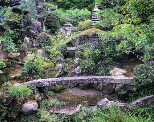 ＼おにわさん更新情報／ ‪[ 京都府亀岡市 ] 浄福寺庭園 Jofukuji Temple Garden, Kameoka, Kyoto の写真・記事を更新しました。 ーー2017年にはじまった新制度