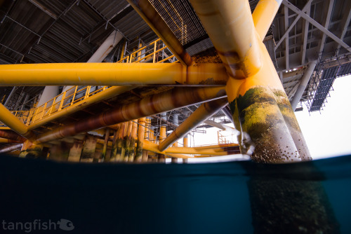 Above &amp; below an oil rig in Southern California - photo taken offshore San Pedro, CA