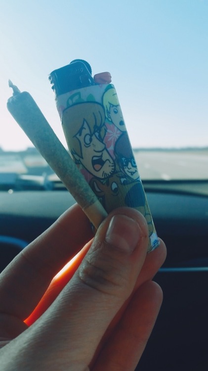 helianthus-spiritus:Like zoinks scoob! It’s 420!