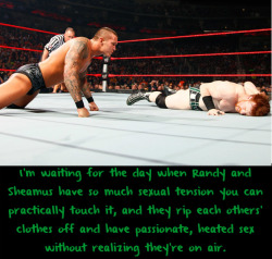 Wwewrestlingsexconfessions:  I’m Waiting For The Day When Randy And Sheamus Have