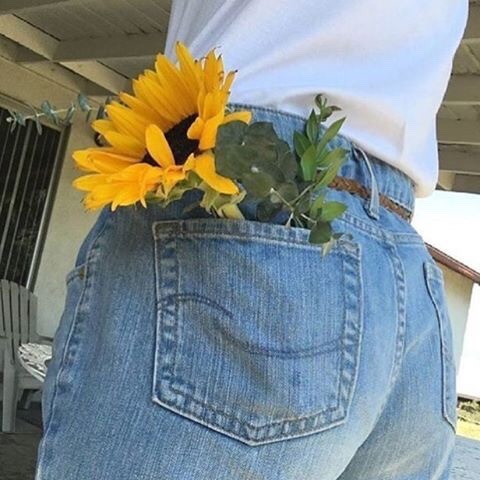 pastelyellowaesthetics:  
