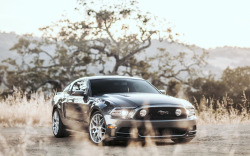 ford-mustang-generation:   	Twin Turbo Mustang GT by Drew Osumi    