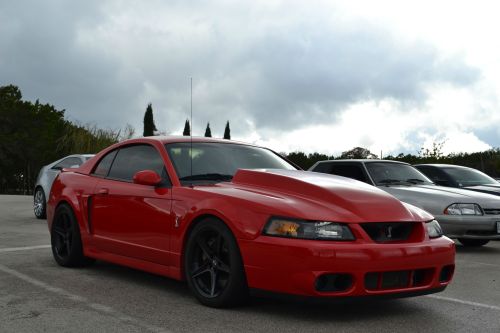 topvehicles:  Ford Mustang Terminator via tot_coz2