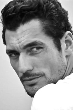 David Gandy