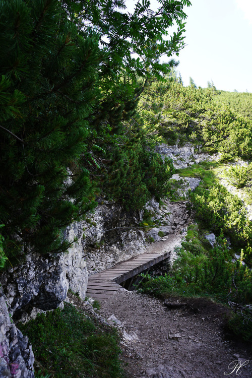 Steep path, Sorapis. (3)Belluno, Italy.