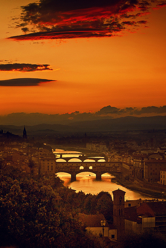 mostlyitaly:   Four Bridges of Florence by  Yuliya Bahr   