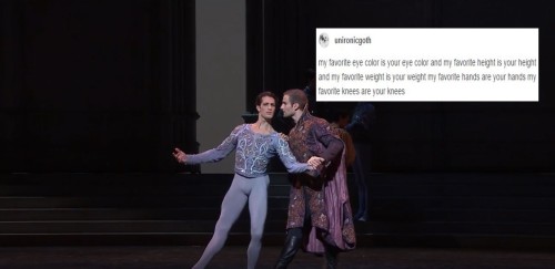 spinmelikeyoumeanit: Swan Lake + text post meme 2016 edition, because it had to be done. Let me