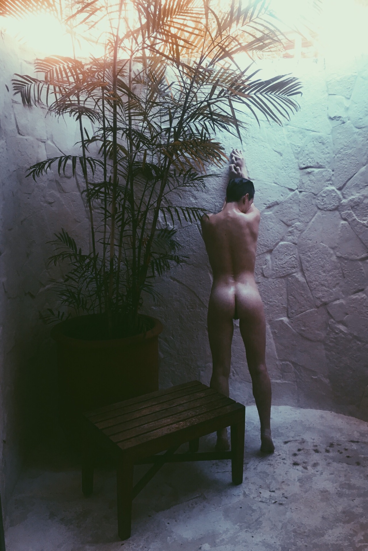 abedinbrooklyn:  I love it when she looks back at me. 