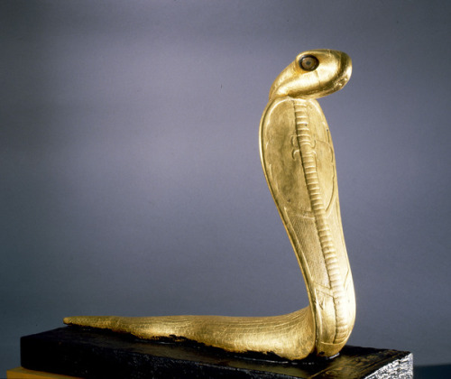 grandegyptianmuseum:Statue of Netjer-Ankh (living god) gilded wood, found in one of the black shrine
