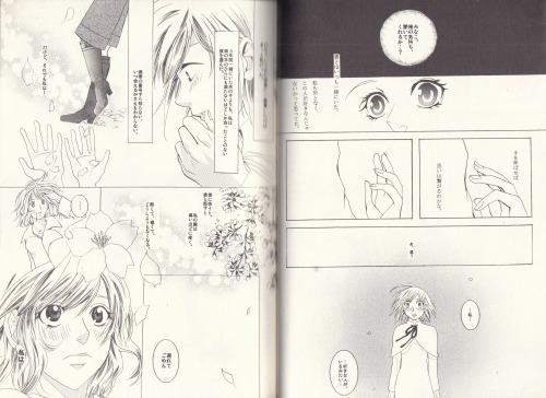 mizunoseishin: Tokimeki Memorial Girl’s Side 2nd Season DoujinshiTittle: 夢宵桜 Couple: Kazuyuki 