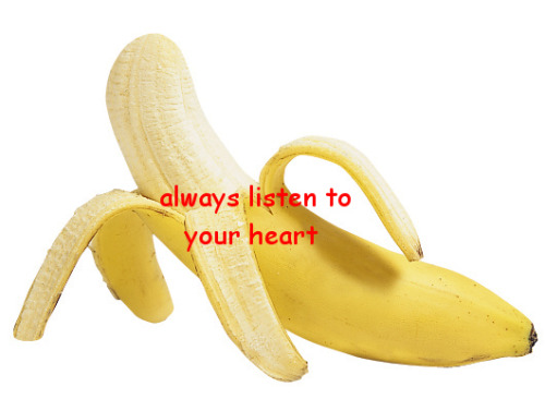 tumblr photo ronbenetjamsey 0