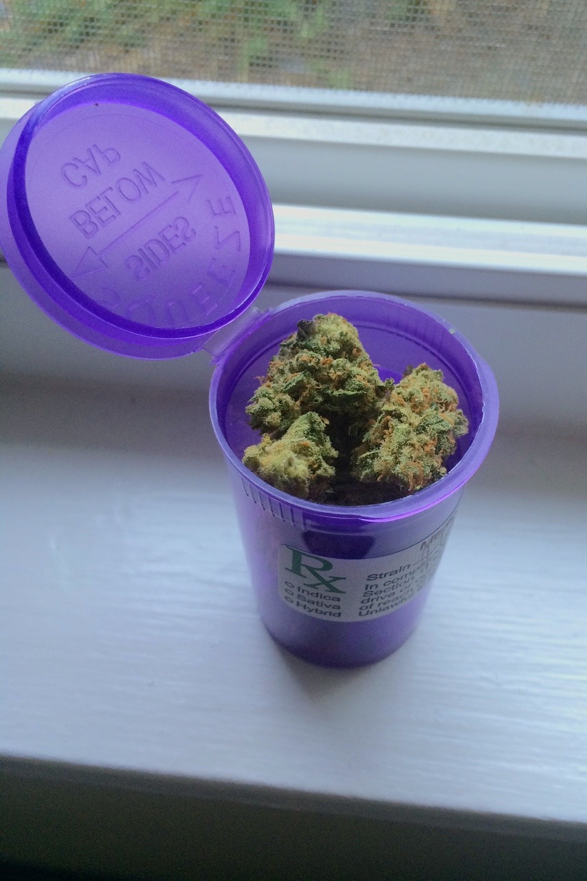 710kitty:  dank platinum jack herer ♡ 7.20.15