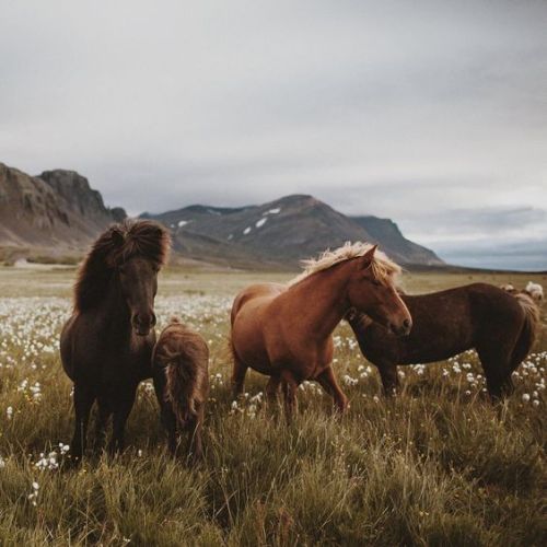 Had to share this @WeHeartIt