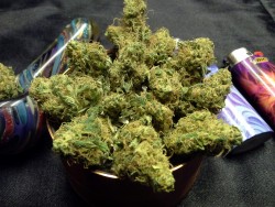 stonerfaq:  flower flower, adjective noun