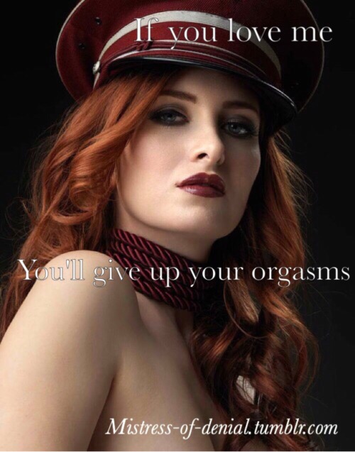 flr-sharing-her-perfection:mkorge:mistress-of-denial:Prove it to me.I will Mistressflr-sharing-her-p