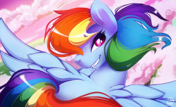 elrincondelpony:  RainbowDash by ChocoKangoo