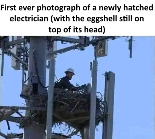 dc82c427f57e346b9f606a4db262700de8f4220c.pnj