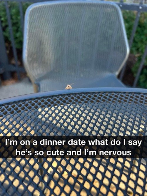 that-clever-oc - that bisexual