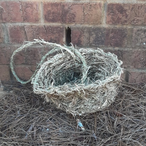 A Collection Of Braided Grass Baskets I Made Last Summer