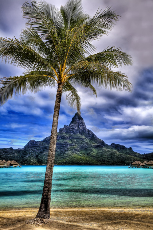 tropicaldestinations: A view from the beach at the Intercontinental Thalasso Spa on Bora Bora (by v
