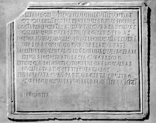 epitaph for a dog named Margarita, from the Corpus Inscriptionum Latinarum, VI 29896 “Gaulgave