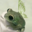 thelittlefrogblog