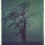 rboon2