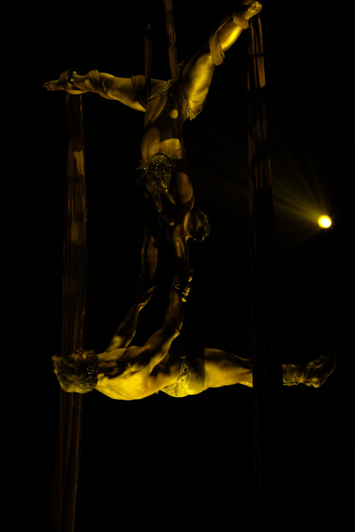 Event Shooting (first time for me)Circus Roncalli, 02.06.2016 in Fulda, Ochsenwieseacrobats: Yves an