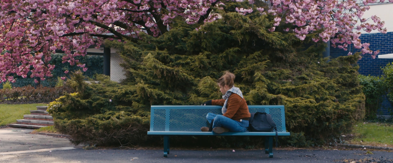 menidon:  Blue Is the Warmest Color (2013) by Abdellatif Kechiche 