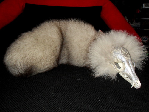 unknownbinaries: So I made this dude out of a fox tail I picked up off of EBay for purposes I no lon