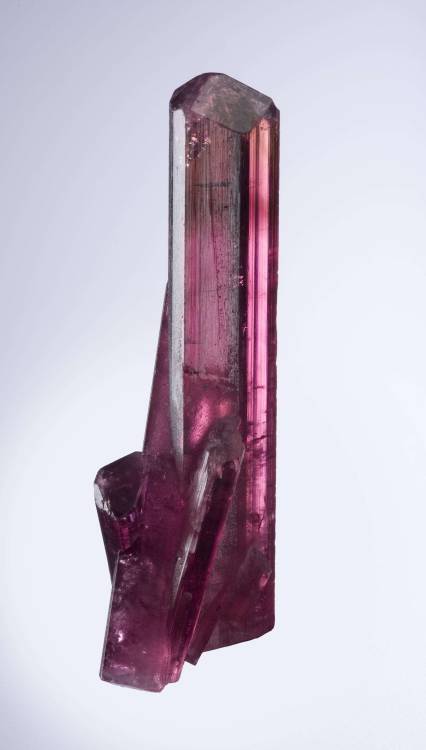 Tourmaline var. Rubellite (1978 pocket)Jonas Mine, Itatiaia, Minas Gerais, Brazil