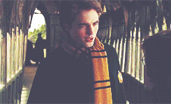 morsmordre-x:  harry potter meme: nine characters [4/9] » Cedric Diggory ↳