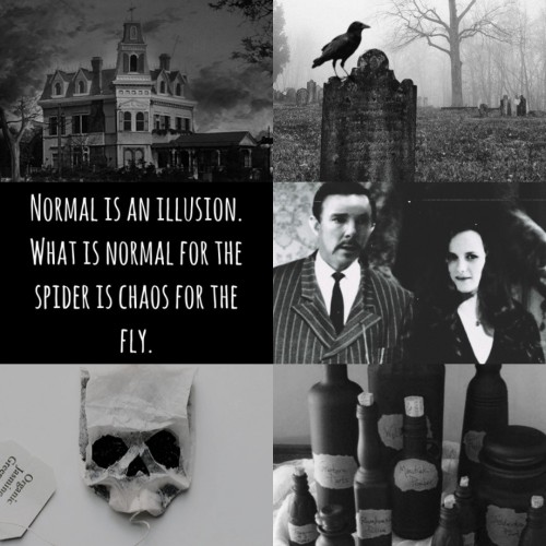 Sherlolly // Addams Family AU