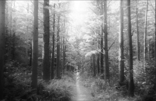 faultyclockwork:  The spectral black and white photography of Li Hui. 