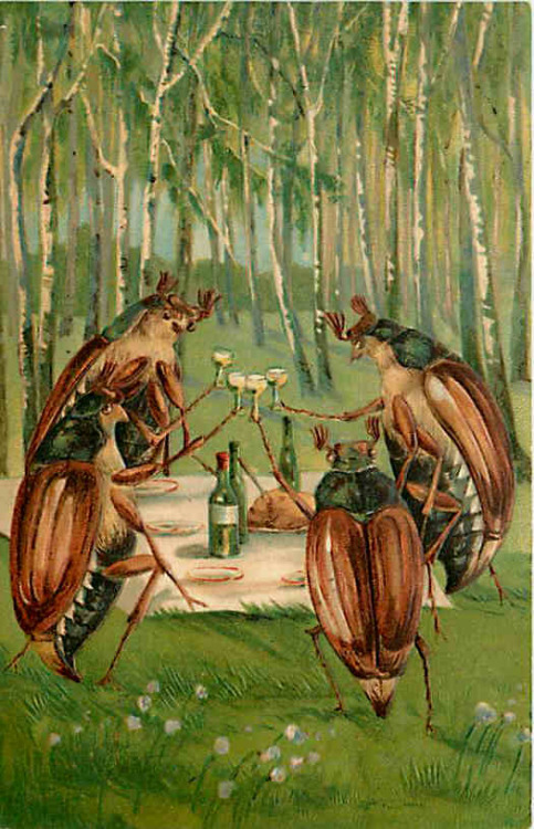 hell-inahandbasket:Vintage Postcard (1909)Beetles Toasting Wine Picnic in Woods