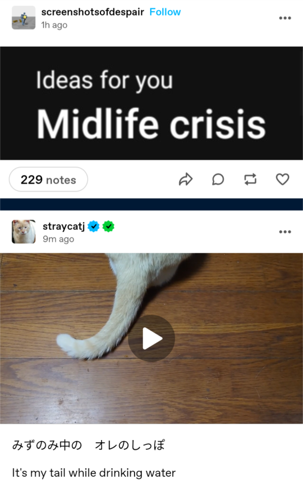 Tumblr media