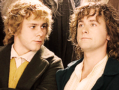 loriendesse:  middle-earth meme: [4/5 quotes]